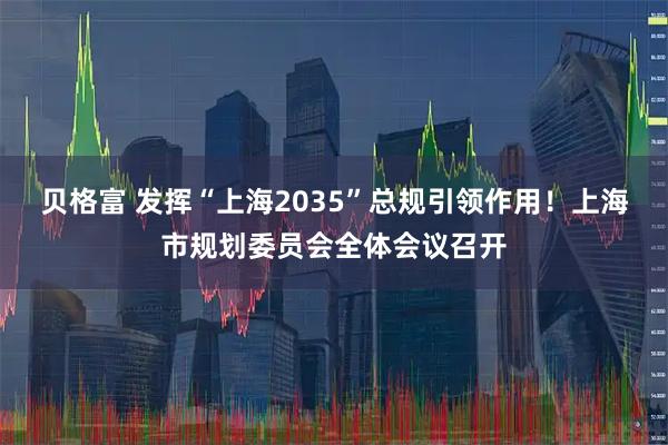 贝格富 发挥“上海2035”总规引领作用！上海市规划委员会全体会议召开