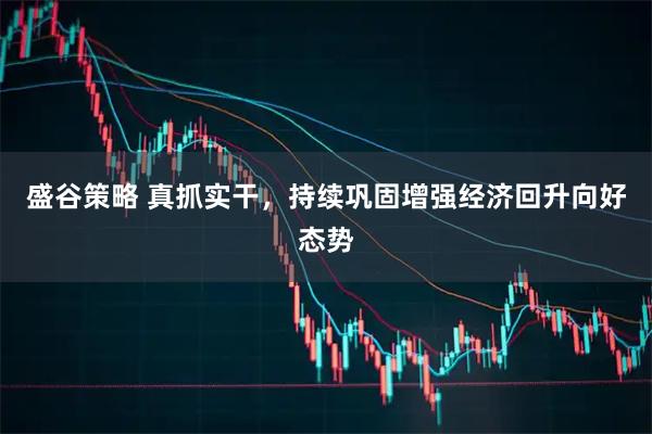 盛谷策略 真抓实干，持续巩固增强经济回升向好态势