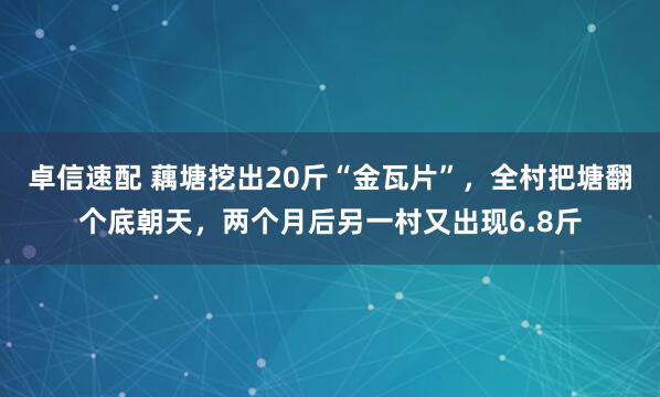 卓信速配 藕塘挖出20斤“金瓦片”，全村把塘翻个底朝天，两个月后另一村又出现6.8斤